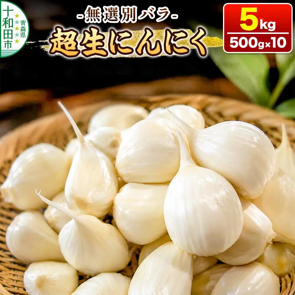 超生にんにく 無選別バラ5kg（500g×10） 青森県産