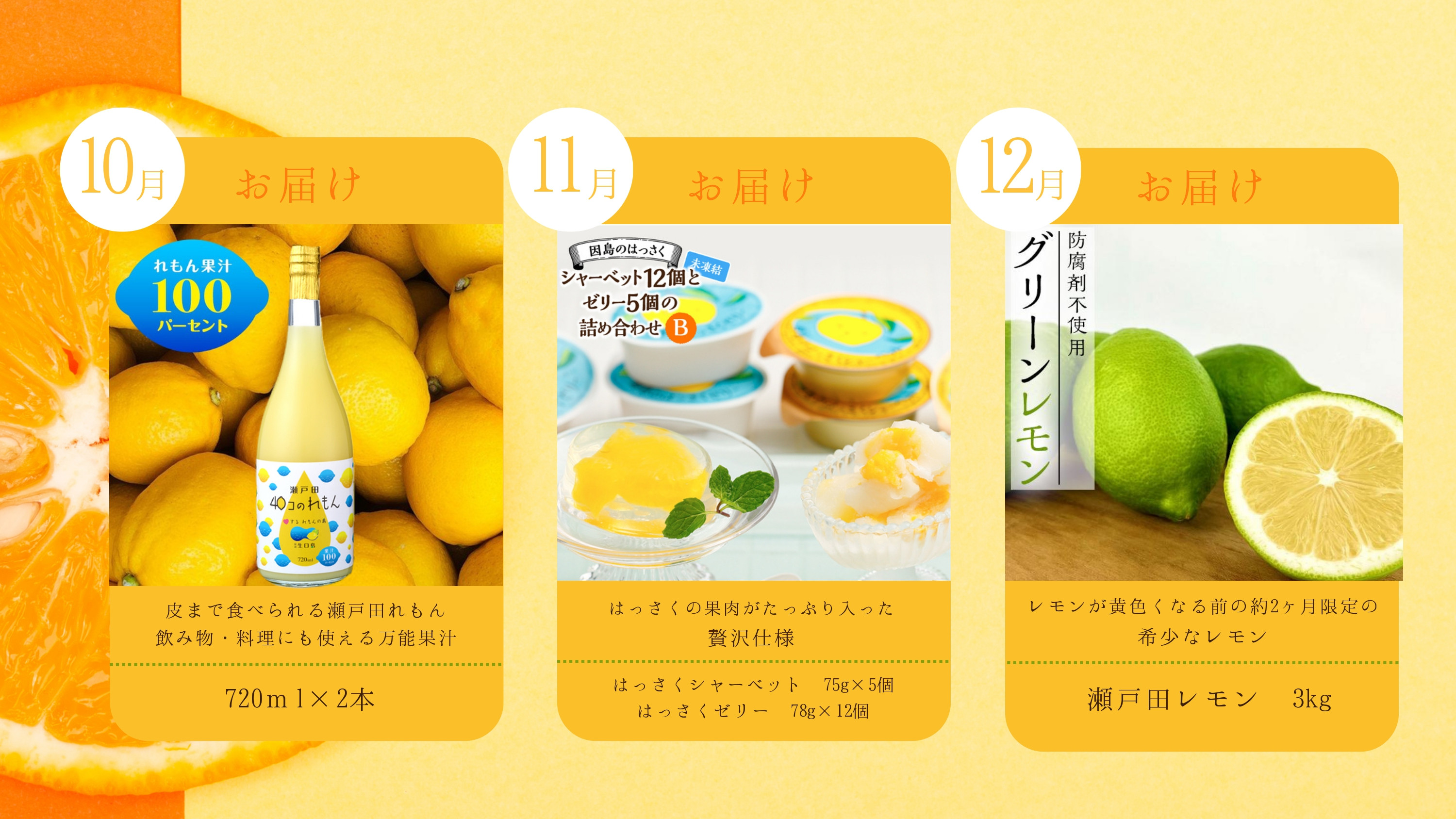 定期便A～集まれ！柑橘好きさんセット～【10月～3月まで毎月発送】