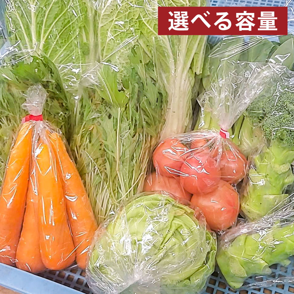 【ふるさと納税】＜選べる内容量＞その時期の一番美味しいをお届け！竹田育ちの「野菜詰め合わせセット」 A（3～10品目）・B（5～15品目） 大根 キャベツ 白菜 トマト きのこ キノコ 茸 果物 フルーツ 詰め合わせ 大分県産 国産 九州 大分県 竹田市 送料無料