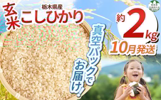 【先行予約】【令和7年度新米】【毎月500個限定！】【栃木県共通返礼品】 栃木県産こしひかり 2kg（玄米真空パック）10月分 | 新米 こしひかり 玄米 米 ごはん  冷めてもおいしい ふるさと納税 那珂川町 栃木県