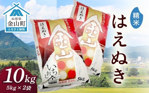 令和7年産 金山産米 はえぬき 【精米】10kg（5kg×2袋） 米 お米 白米 ご飯 ブランド米 送料無料 東北 山形 金山町 F4B-0716