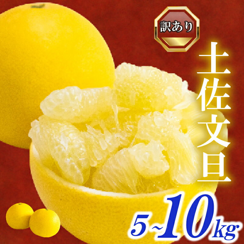 【ふるさと納税】 訳あり 文旦 5kg 10kg 2026年2月より発送 家庭用 早期予約 土佐文旦 みかん 柑橘 フルーツ 早期 予約 季節限定 期間限定 高知県 須崎市 産地直送 こだわり文旦 ぶんたん