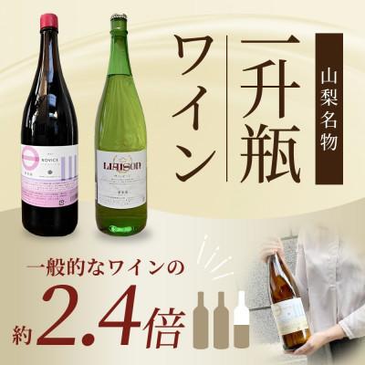 ふるさと納税 笛吹市 【無地熨斗】赤ワイン NOVICE マスカット・ベーリーA 1800ml 日川中央葡萄酒 笛吹市 |  | 02
