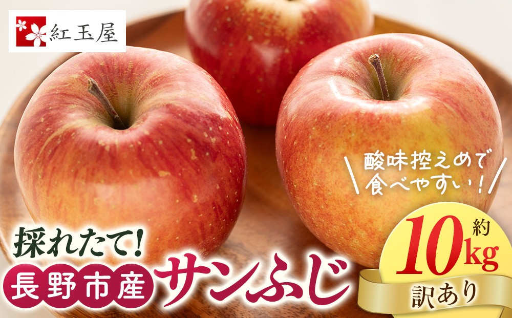 
                  紅玉屋 長野市産【訳あり】サンふじ10kg【2026年12月上旬以降の出荷分】（紅玉屋） |  りんご フルーツ 果物 サンふじ 訳あり 人気 おすすめ ギフト プレゼント 送料無料 長野県 長野市 信州 信濃 ふるさと納税
                