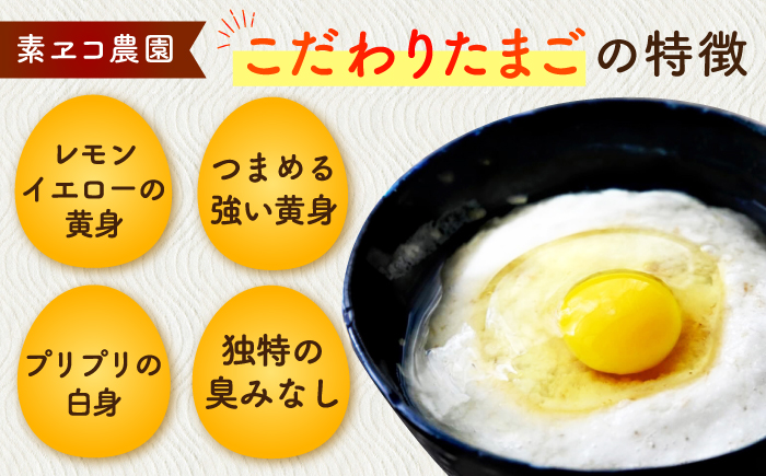 【全6回定期便】ばあちゃんの昔たまご 計360個（55個+5個×6回（割れ補償付き）） / 平飼い卵 / 佐賀県 / 素ヱコ農園 [41AEAA011]
