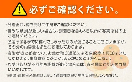 先行予約 みつばちみかん 計3kg以上 傷み補償分付き 期間限定 数量限定 果物 くだもの フルーツ 蜜柑 ミカン 柑橘 オレンジ おやつ デザート みかんジュース 飲み物 小ぶり おすすめ おすそ分