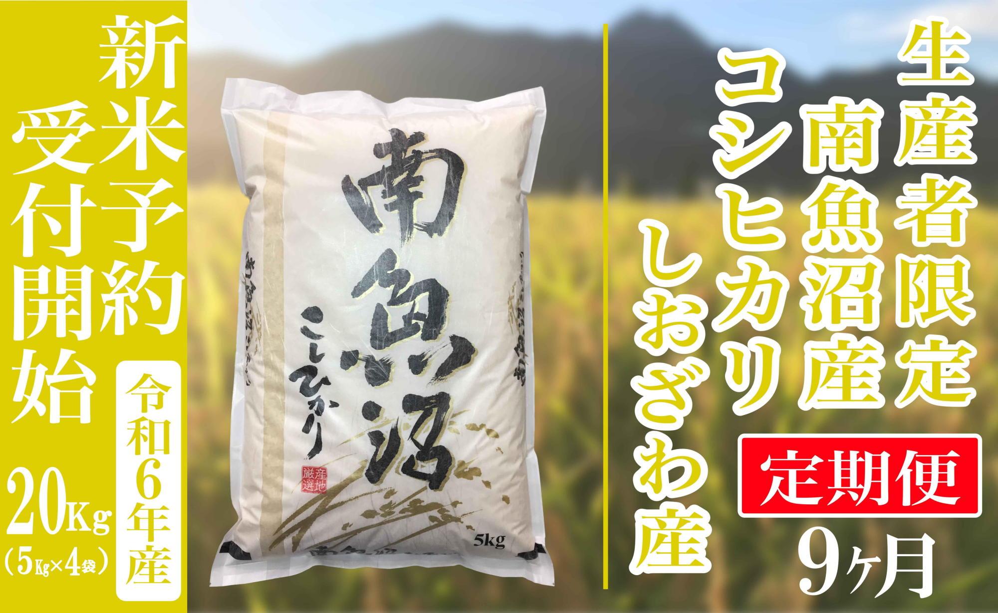 【新米予約・令和6年産】定期便９ヶ月：精米20kg生産者限定 南魚沼しおざわ産コシヒカリ