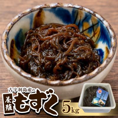 ふるさと納税 今帰仁村 古宇利島産の養殖もずく5.0kg