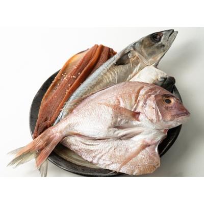 ふるさと納税 湯浅町 かね七商店　おまかせ干物セット |  | 03