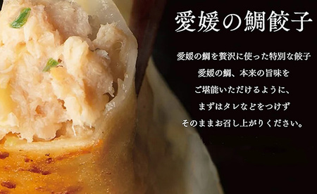 【 鯛餃子 】 30個  餃子 愛媛県産 鯛【GF0041】