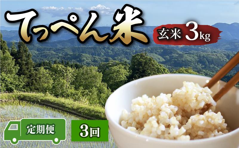 
                  コシヒカリ 玄米 令和8年産 定期便 3kg 3回 米 お米 最高評価 食味ランクS 神子原 てっぺん米 計 9kg 定期便 こだわり もっちり 甘み genmai gennmai ※ ご飯 ごはん R8 2026年産 こしひかり 新米 先行予約 おいしい 美味しい 石川県 石川 能登 羽咋 支援 応援 復興応援 復興支援 おこめ こめ kome okome ふるさと納税米 米定期便 定期便米
                