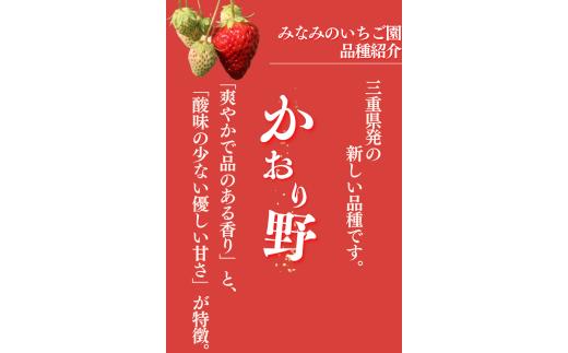 【先行予約＿2026年出荷分】 完熟いちご280g かおり野 2パック（DXパック） 【 かおり野 いちご 苺 イチゴ 果物 フルーツ くだもの 旬 伊豆 静岡県 期間限定 先行予約 】　