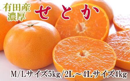 一度は食べていただきたい「有田産のせとか」約4～5kg（サイズおまかせ）★2026年2月中旬頃より順次発送［TM138］
