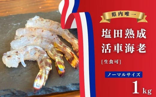 [今期分発送開始] 生食可 塩田熟成 活車海老 ノーマルサイズ 1kg ギフト 贈答 化粧箱 国産 海老 えび 刺身 エビフライ 広島県 大崎上島 瀬戸内 離島 新鮮 送料無料 産地直送 ファームスズキ