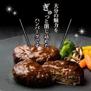 大分の恵みハンバーグ約1.6㎏（約160g×10個） A05067