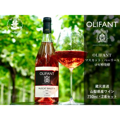 ふるさと納税 大月市 【山梨ワイン】蔵元直送「OLIFANTマスカット・ベーリーAロゼ樽発酵750ml×2本セット」