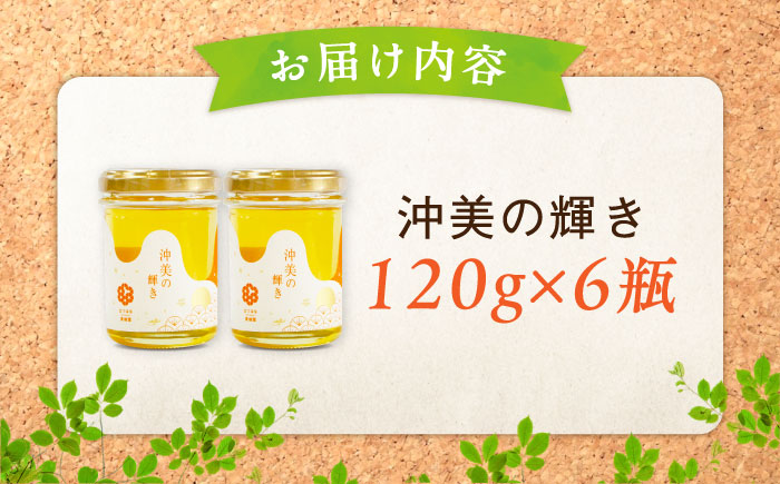 まじりっけなし！江田島産100％!はちみつ『沖美の輝き』120g×6本セット ハチミツ ハニー 蜂蜜 国産 広島県 江田島市/はつはな果蜂園 [XCD003]