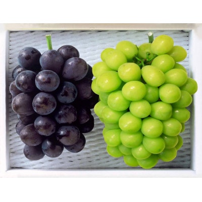 【2026年9月上旬より発送】岡山県産　秋の種無しぶどう詰め合わせ(シャインマスカット・ピオーネ)【配送不可地域：離島】【1364900】