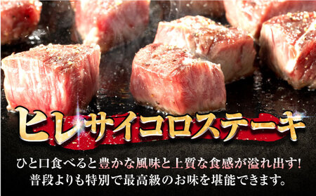 【7営業日以内発送！】 【訳あり】 佐賀牛 ヒレ 不揃い サイコロステーキ 600g 吉野ヶ里町/丸宗ミート[FDP022]