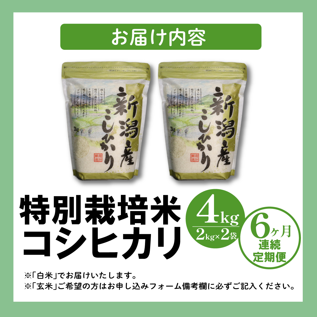 【定期便】令和5年産 特別栽培米コシヒカリ 2kg×2袋×6ヵ月 D29_01