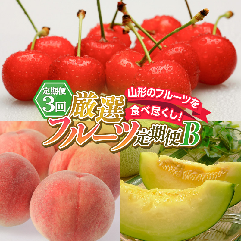 【定期便3回】山形のフルーツを食べ尽くし！厳選フルーツ