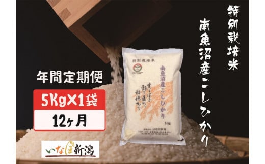 【令和7年度産新米予約】【定期配送】南魚沼産コシヒカリ特別栽培米 白米 5kg 全12回【2025年10月上旬より順次発送予定】