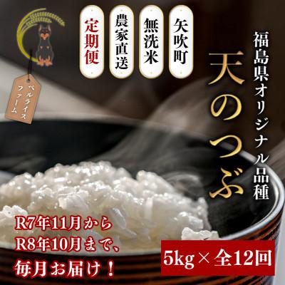 ふるさと納税 矢吹町 【発送月固定定期便】【2025年11月より順次発送予定】無洗米 天のつぶ5kg全12回