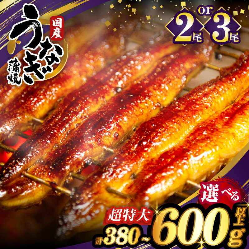 【ふるさと納税】≪選べる内容量≫ うなぎ 蒲焼 さんしょう たれ付き 2尾 or 3尾 丑の日 ひつまぶし うな重 国産 鰻 高評価 贈り物 ギフト 贈答 ご褒美 うなぎ長焼 unagi 鰻楽 小分け 真空パック 簡単調理 リピーター続出 宮崎県 都農町 送料無料 レビューキャンペーン