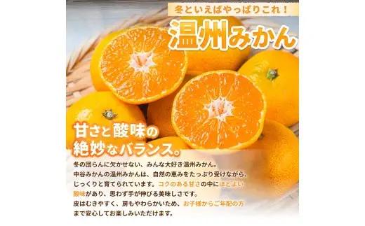 温州みかん 10kg 2S～2Lサイズ混合 12月発送 /  温州 みかん 和歌山 由良  甘い フルーツ 人気 正月 農家直送 ※2026年12月上旬頃～12月下旬頃に順次発送予定【nktn004-