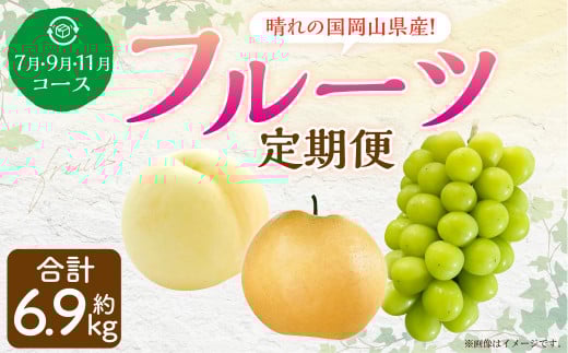 【3回定期便】岡山県産 フルーツ定期便コース （白桃・ 晴王・あたご梨） 計約6.9kg  【2026年7月上旬発送開始】 白桃 桃 もも シャインマスカット 晴王 ぶどう 葡萄 マスカット あたご 梨 なし フルーツ 果物 くだもの 岡山