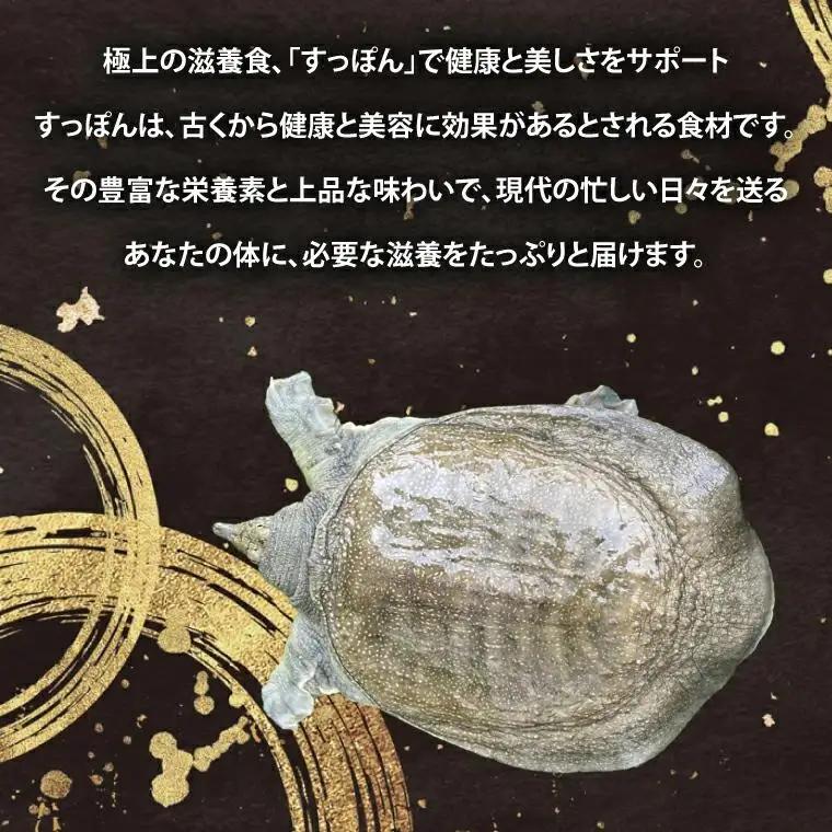 【生きたまま直送】活きすっぽん  1匹  800g～900g (CS001)
