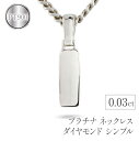 【ふるさと納税】 プラチナ ペンダントトップ メンズ ダイヤモンド ネックレス ダイヤ 0.03ct pt900 シンプル おしゃれ ジュエリー プレゼント 人気 山梨県 昭和町 送料無料 管理番号221102101dpmba SWAA069