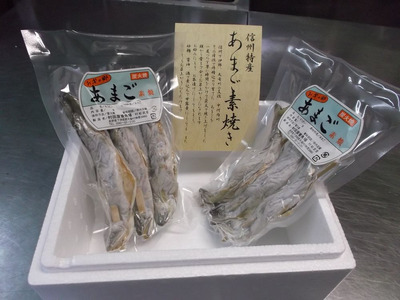 絶品！信州サーモン ブロック 600g～640g（信州サーモン 信州 刺身）| 魚 サーモン 信州サーモン 刺身 切り身 長野県 天龍村 信州 信州サーモン