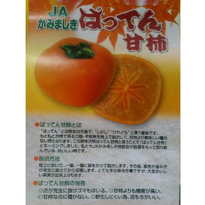ふるさと納税 益城町 ばってん甘柿　訳あり　約3kg　8〜16玉入り×2箱 |  | 01