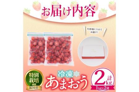 ＜予約受付中！2025年1月より順次発送予定＞冷凍あまおう(計2kg・1kg×2袋)  いちご イチゴ 苺＜離島配送不可＞【ksg0438】【うるう農園】