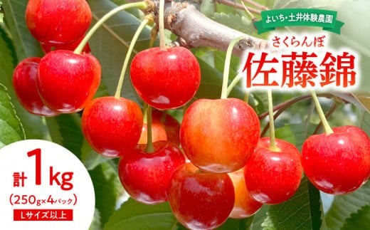 【先行予約：2026年6月下旬以降発送】さくらんぼ【佐藤錦】1Kg