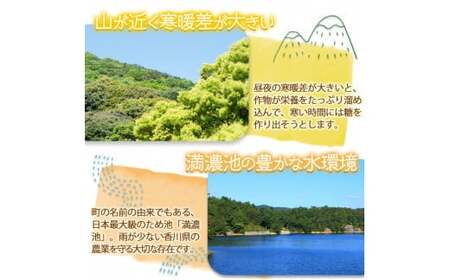 ＜先行予約！2027年5月上旬以降順次発送予定＞ 香川県産 厳選大玉生にんにく(約5kg) 国産 ニンニク ガーリック 薬味 野菜 【man069】【Aglio nero】
