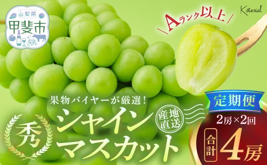 【2025年分発送】 定期便 シャインマスカット 2房 約1.3㎏ 2回 計4房 先行予約 先行 予約 山梨県産 国産 産地直送 人気 おすすめ 贈答 ギフト お取り寄せ フルーツ 果物 くだもの ぶどう ブドウ 葡萄 シャイン シャインマスカット 新鮮 甘い 皮ごと 山梨 甲斐市 AD-247