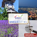 【ふるさと納税】北海道 日本旅行 地域限定旅行クーポン 300,000円分 チケット 旅行 宿泊券 ホテル 観光 旅行 旅行券 宿泊 夏休み 冬休み F6S-144