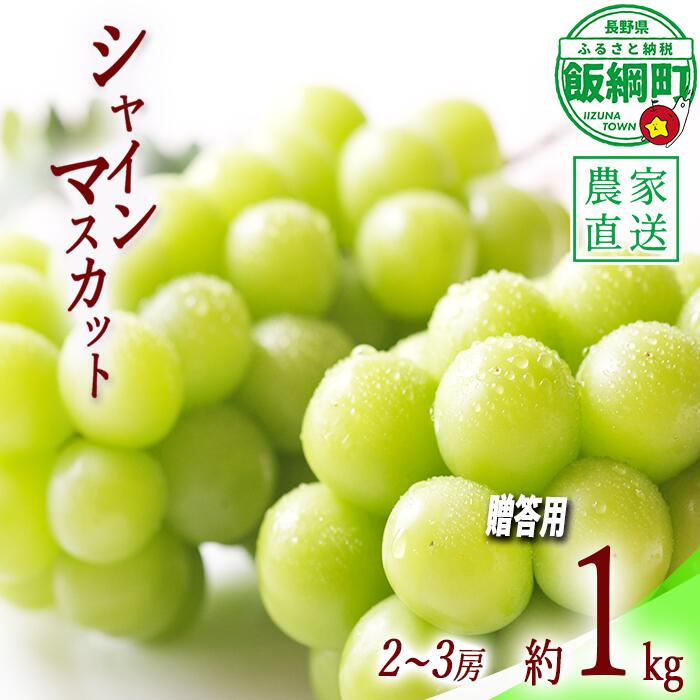 【ふるさと納税】 ぶどう シャインマスカット 贈答用 2房 〜 3房 ( 約 1kg ) ファームトヤ 配送は本州限定 令和8年度収穫分 長野県 飯綱町 〔 信州 果物 フルーツ ブドウ マスカット 葡萄 長野 予約 農家直送 〕発送時期：2026年9月中旬〜2026年10月上旬