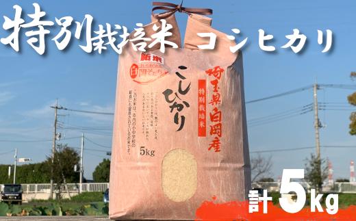 ＜令和7年産＞特別栽培米　コシヒカリ　5kg　【11246-0108】