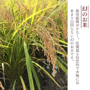 米 10kg 新潟県産 コシヒカリ 令和7年産 奥阿賀 仁一郎 5kg×2袋 | こしひかり 白米 精米 送料無料 お取り寄せ お米 