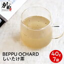 【ふるさと納税】BEPPU OCHARD（ベップ オチャード）しいたけ茶40g入 7袋セット