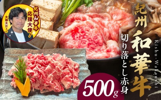 
                  紀州和華牛　切り落とし【赤身】500g_BN6050
                