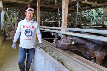 ＜なかむら謹製＞【博多和牛】黒毛和牛肩ロースすき焼き用うす切り800g【E-084】博多和牛 黒毛和牛 すき焼き 筑穂牛 肩ロース ロース
