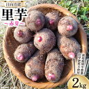 【ふるさと納税】里芋 赤芽 2kg [甲斐自然派農園 宮崎県 日向市 452060525] さといも ホクホク