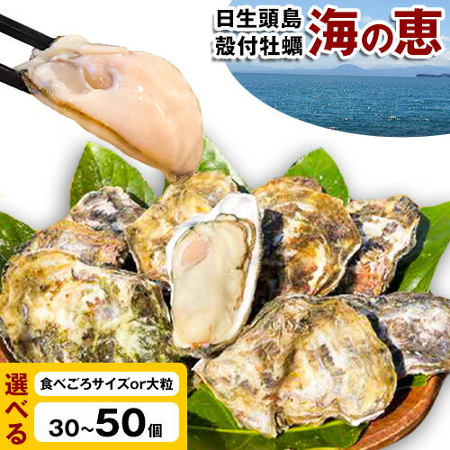 【ふるさと納税】牡蠣 かき 日生頭島殻付牡蠣 海の恵 選べる 食べごろサイズ 40個 大粒 30個 50個 中本 喜庸《1月中旬から3月末頃に出荷予定(土日祝除く)》蒸し牡蠣 岡山県 備前市