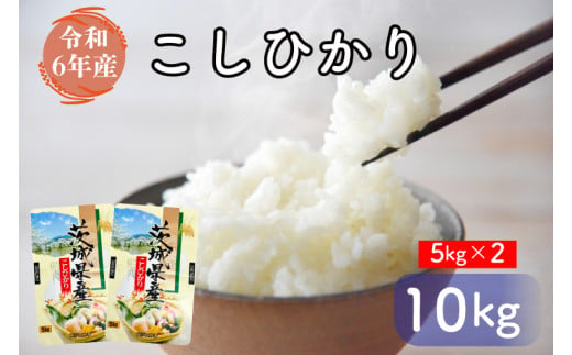 お米好き必見！ ７日以内に発送！！【令和６年産】茨城県の恵み こしひかり10kg（5kg×2袋） ～茨城県自慢のこしひかり～　茨城県 行方市 新鮮 おいしい お米  送料無料 白米 精米 国産 ごはん ご飯 白飯 ゴハン ごはんのおとも(FG-8)