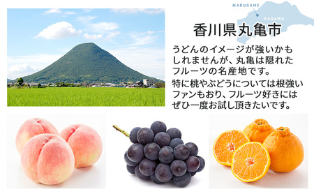 【全6回】フルーツ定期便 いいとこどり定期便 食べきり版