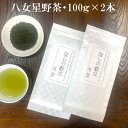 【ふるさと納税】八女星野茶・上質煎茶【ほしの藪北】100g×2本詰合せ【1540192】